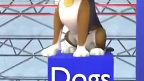 animal kills