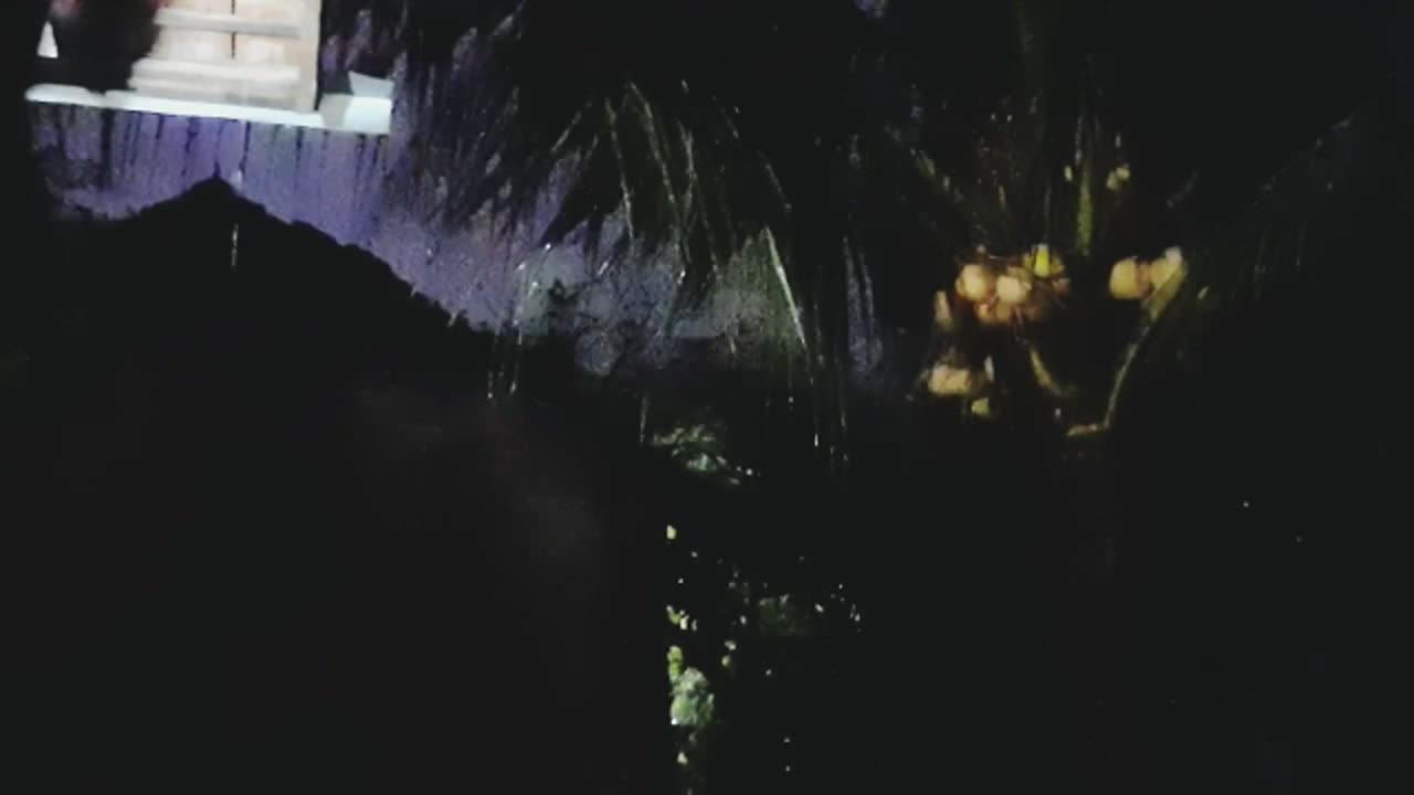 Rain Sounds for Relaxation and Better Sleep (No Music)