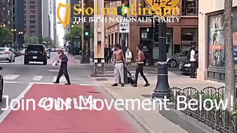 Africans rob & brutally attack innocent who man walking down the street!
