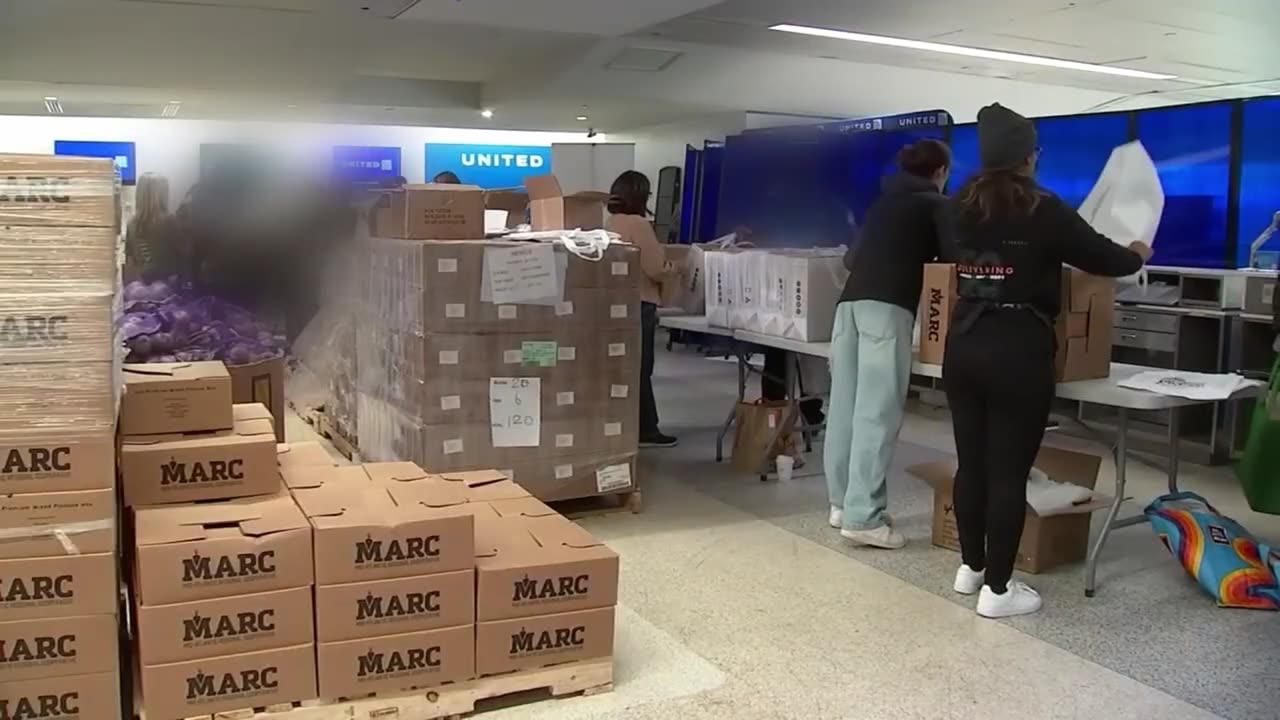 Multi - Team Logistics Coordination for Prepared Civilians