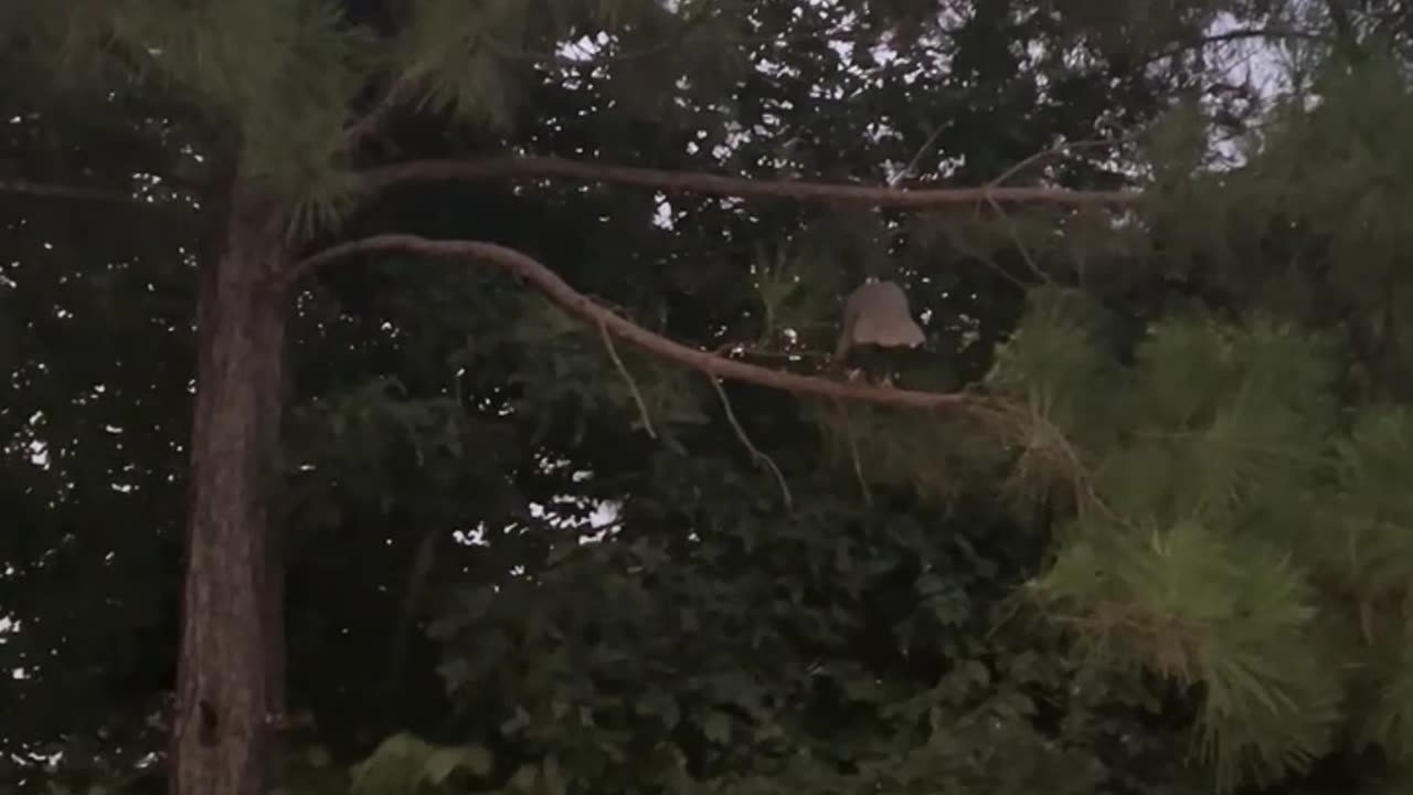 Stop your procrastinating, Go To Bed!!!