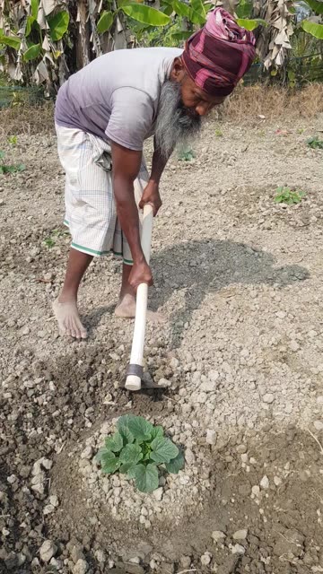 Daily village work in Bangladesh