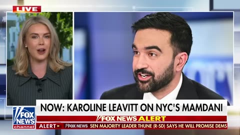 Leavitt FIRES BACK at Mamdani