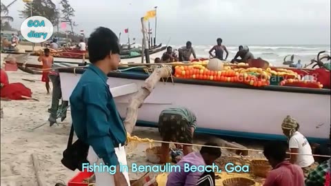 Fishing in Benaulim Beach