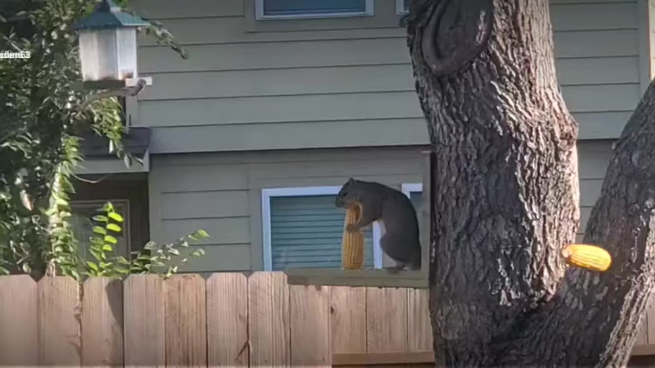 😂🤦 Jump Fail of the Century! | FunFM