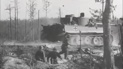 Tiger 1 in action
