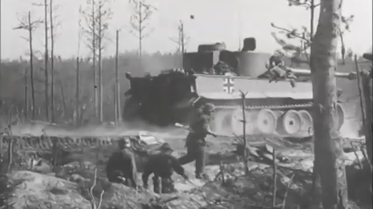 Tiger 1 in action