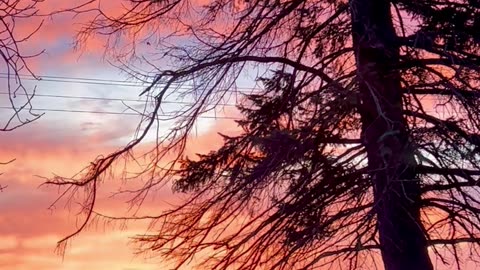 Breezy 🌤️ Sunrise