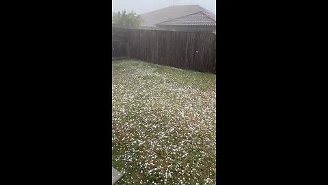 White Christmas 🎅 in Australia be like…