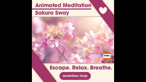 🌸 Sakura Sway • Therapeutic Meditation Relaxation Stress-Relief Nature Loop Low Stim 4K Ambient Calm