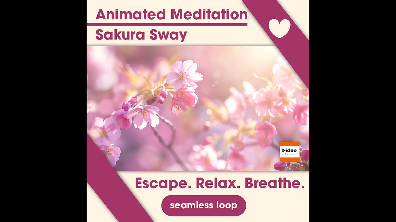 🌸 Sakura Sway • Therapeutic Meditation Relaxation Stress-Relief Nature Loop Low Stim 4K Ambient Calm
