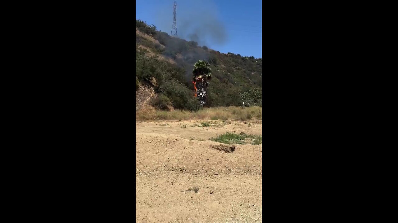 Ex-football player pursues homeless man in LA for allegedly starting a fire.