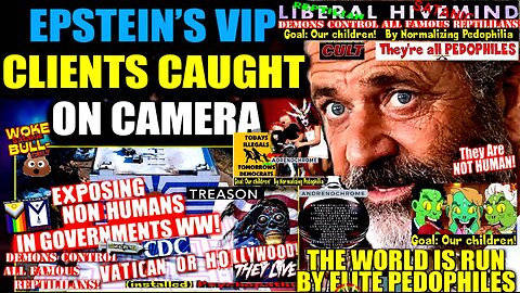 Mel Gibson Warns John McAfee's Epstein Island Footage Will Put VIP Elite in Prison