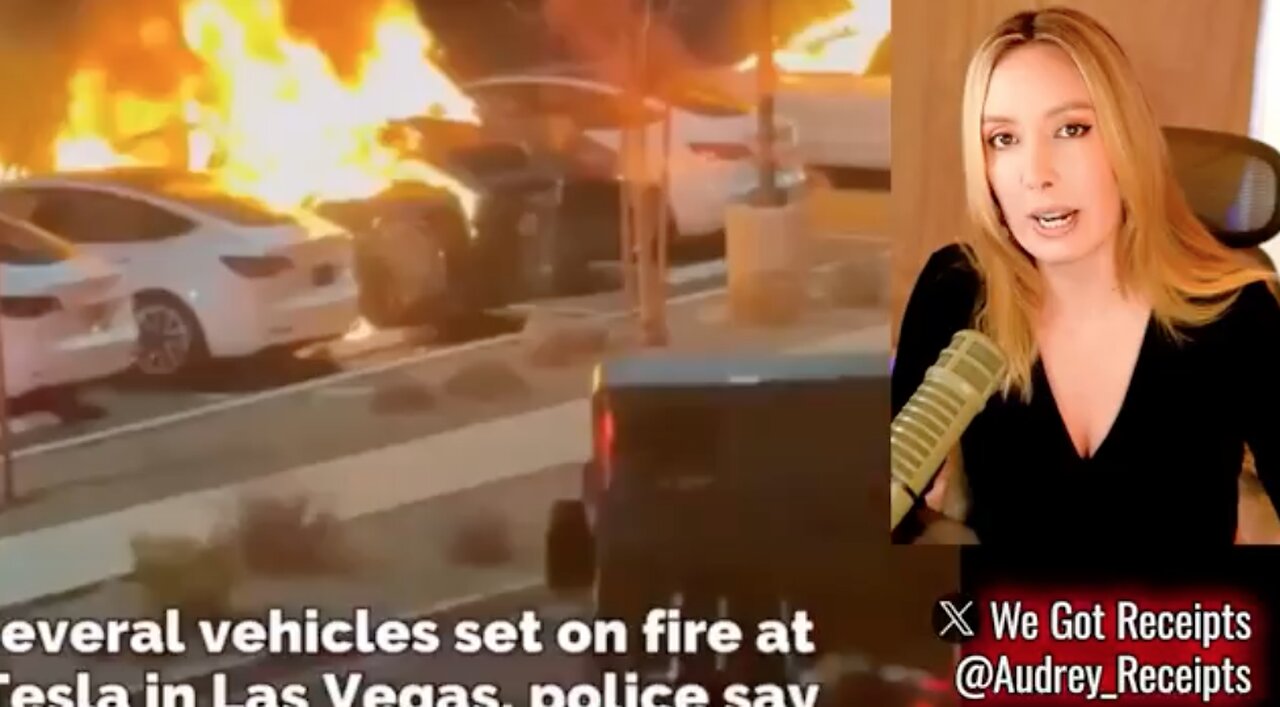Tesla Terrorists and Vandals Caught In The FUNNIEST WAYS!