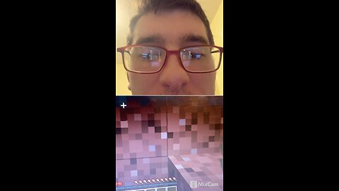 Playing Minecraft