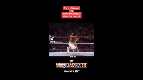 Randy Savage vs Ricky, the steamboat dragon
