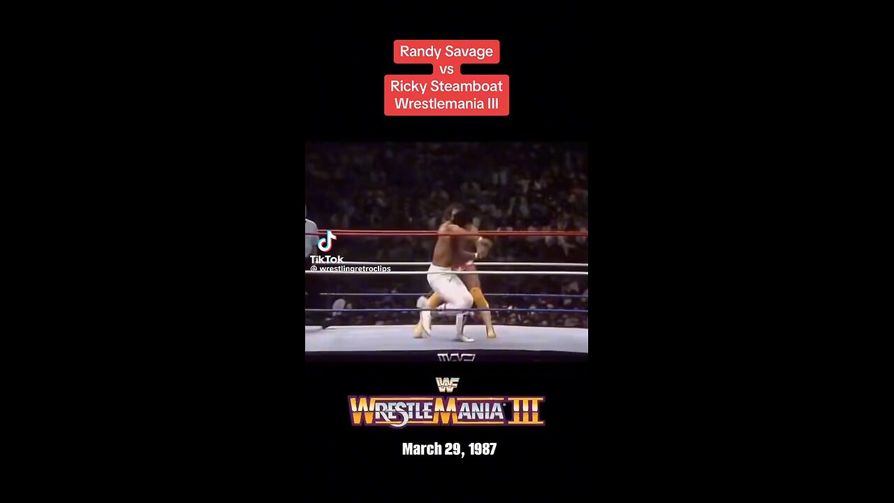 Randy Savage vs Ricky, the steamboat dragon