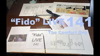 "Fido" LIVE 141: The Comfort Dog