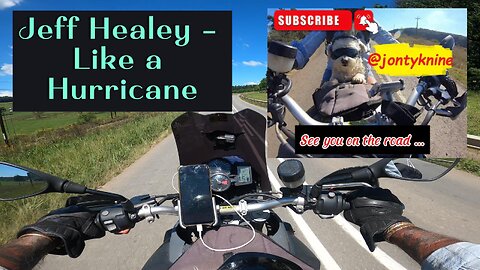 Jeff Healey - Like a Hurricane #musicsong #bikerdog #rockmusic