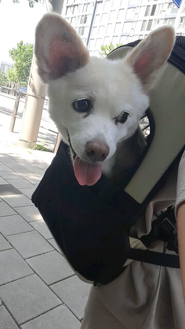 20250903. Forever Amen.