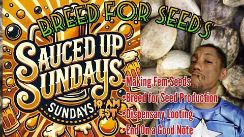 Sauced Up Sunday: Breed for Seed