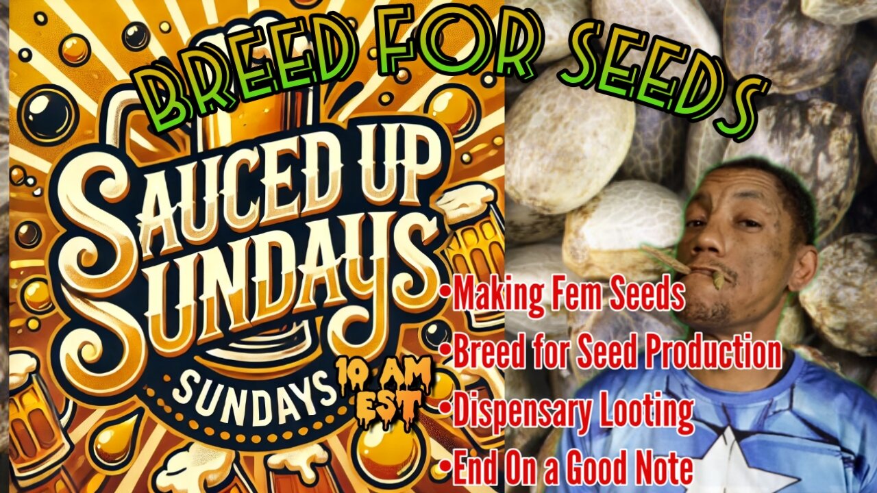 Sauced Up Sunday: Breed for Seed