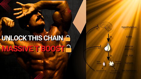 Unlock This Hormone Chain = Skyrocket Your Testosterone Naturally