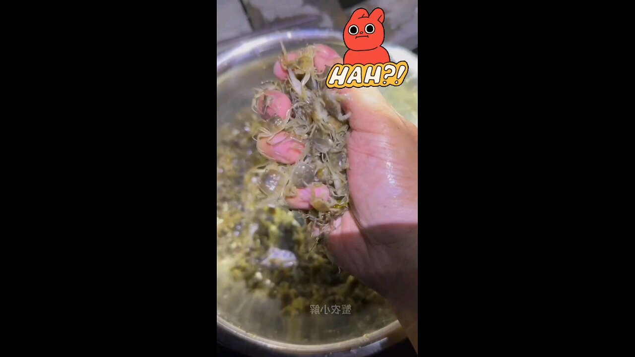 baby crab