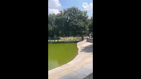 satisfying Video