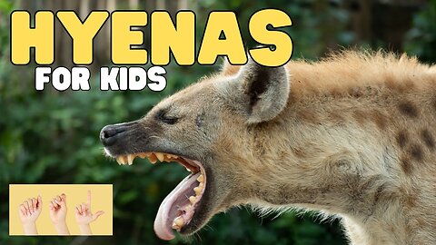 ASL Hyenas for Kids
