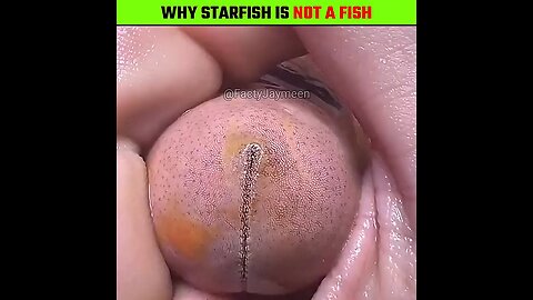 Why Starfish Is Not A Fish|Amazing Facts|Unbelievable Facts|#shorts #youtubeshorts #starfish #facts