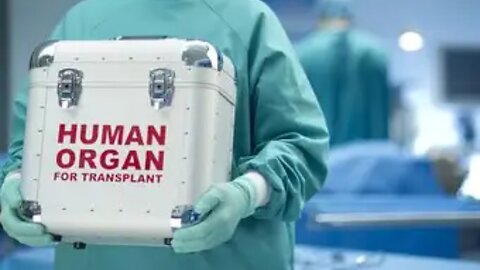 Shocking Town in Kenya Where Wealthy Westerners Buy from the Poor Human Organs for $2700