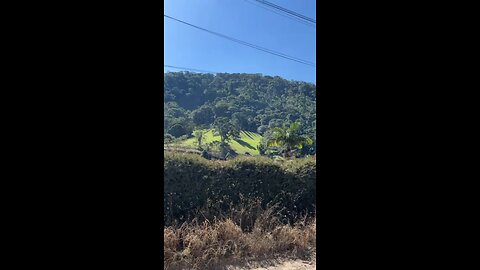 Brazil is a perfect land