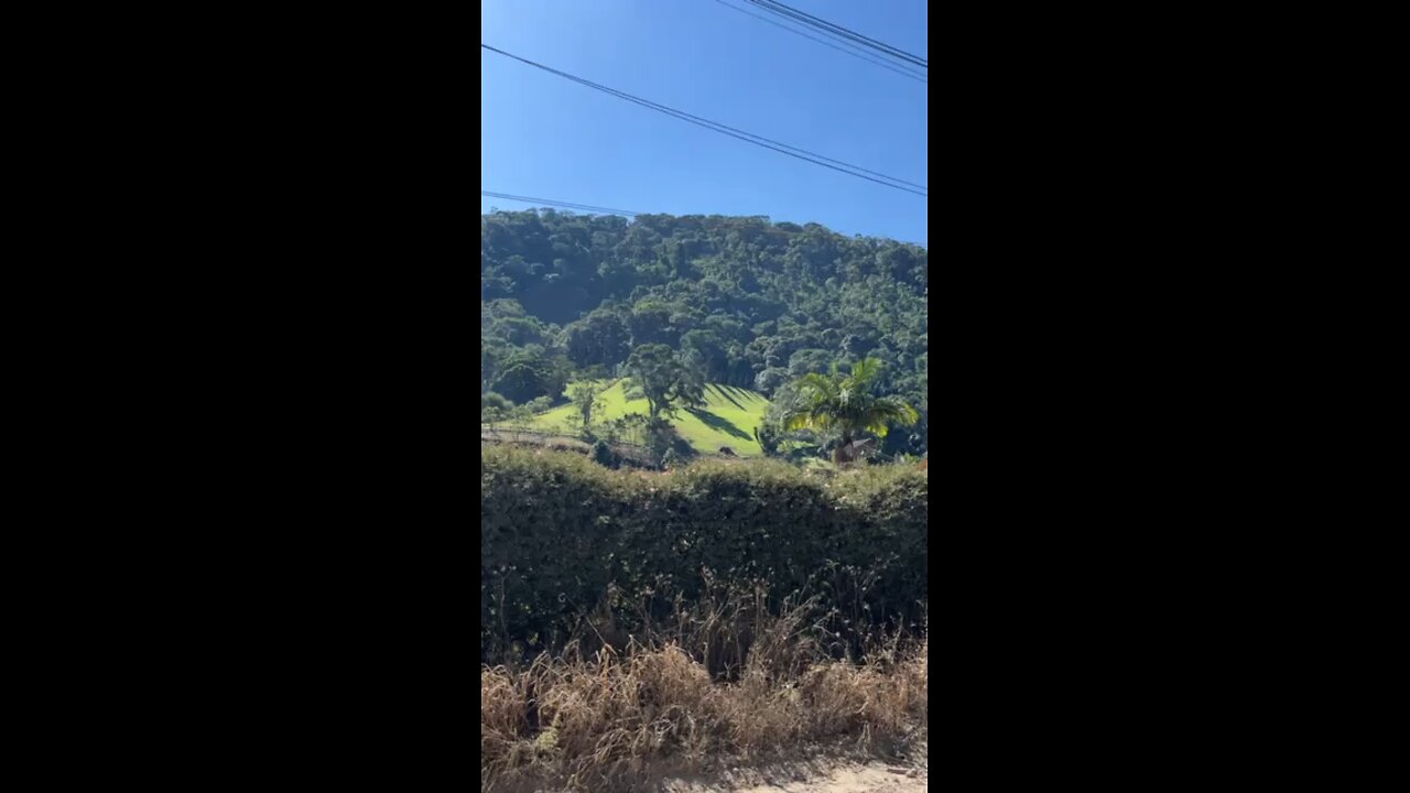 Brazil is a perfect land