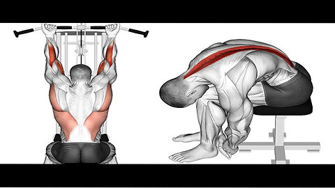 7 Back Exercises to Boost Strength and Width Fast