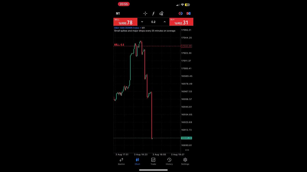 Account Management available for beginners in forex trading