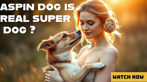 ASPIN Dogs: The REAL Superdogs Nobody Talks About #superdogs #aspindog #petcare #dog 🐕😘🥰