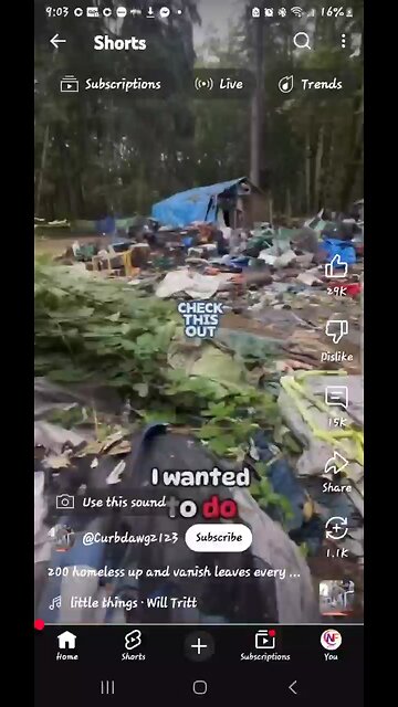 Where Did The Homeless Go? Man Films Woods in Olympia Washington