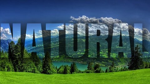 Create Eye-Catching Text in Canva | Beautiful Effects Made Easy