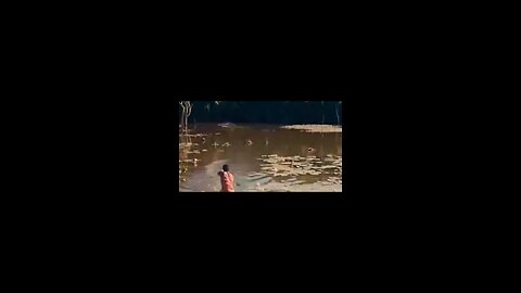 MOKELE MBEMBE CAUGHT ON CAMERA