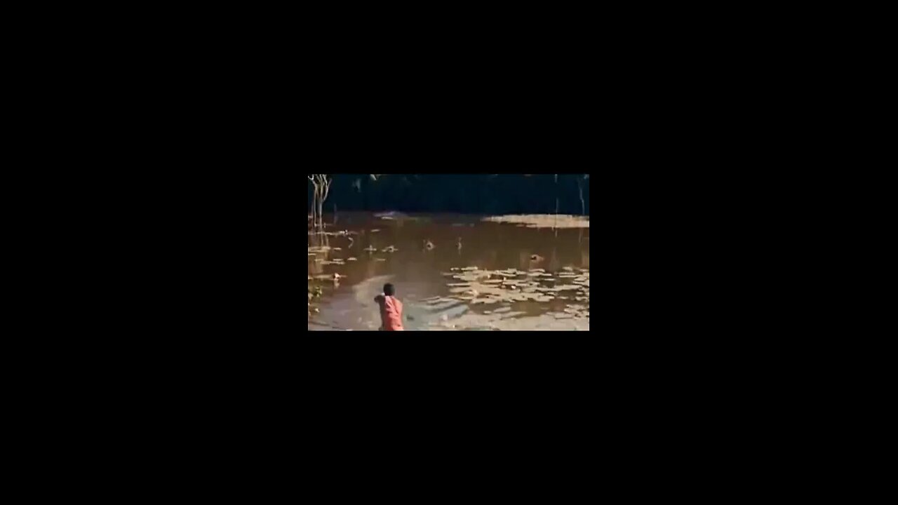 MOKELE MBEMBE CAUGHT ON CAMERA