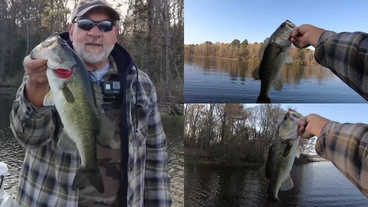 Wacky Wormin’ Largemouth!