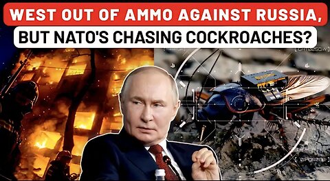 West Now Left With Cockroaches & No PATRIOTS, THAADs To Fight Russia? Germany's Future of Warfare