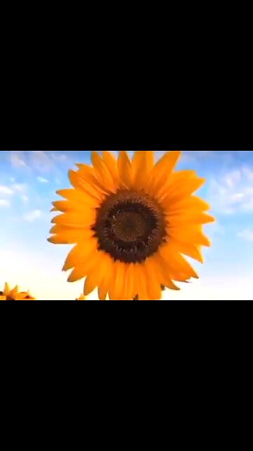 FOUNDATIONS FOR THE CHRISTIAN LIFE - DAILY DEVOTIONAL ❤️