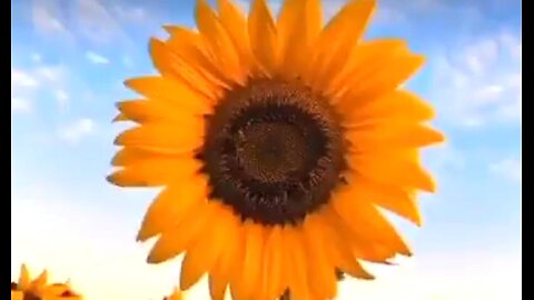 FOUNDATIONS FOR THE CHRISTIAN LIFE - DAILY DEVOTIONAL ❤️