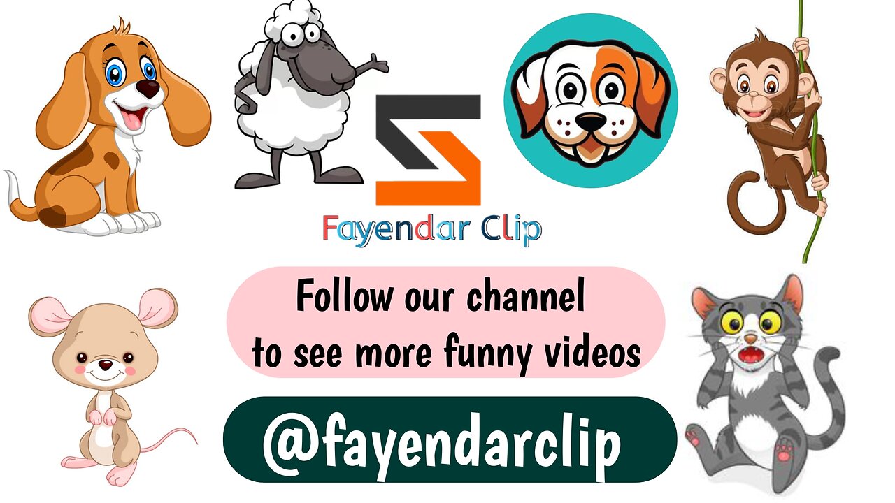 Sheep driver🤣🤣🤣 follow our channel to see more funny videos