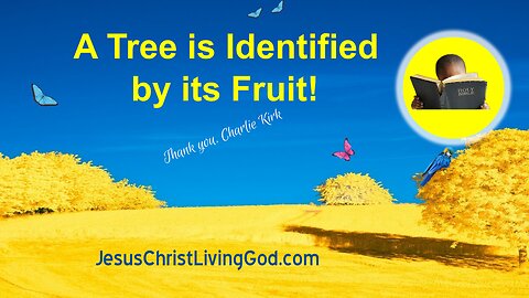 A Tree is Identified by its Fruit - Thank you, Charlie Kirk