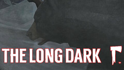 A close call... TLD Stalker Day 6-7