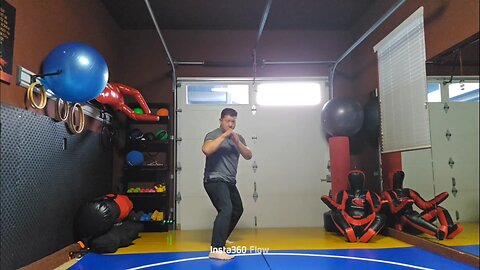 WTD Stepping Mantis Kick