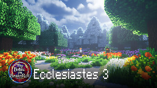 Ecclesiastes 3 – A Time for Everything | The Bible on BrainRot